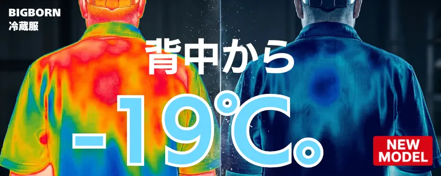 ビッグボーン冷蔵服2026 選び方・新モデル完全ガイド